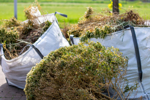 Best Electronics and E-Waste Disposal  in Dousman, WI