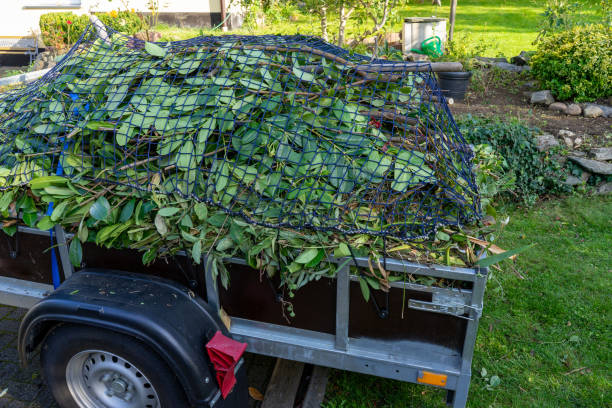 Professional Junk Removal Services in Dousman, WI